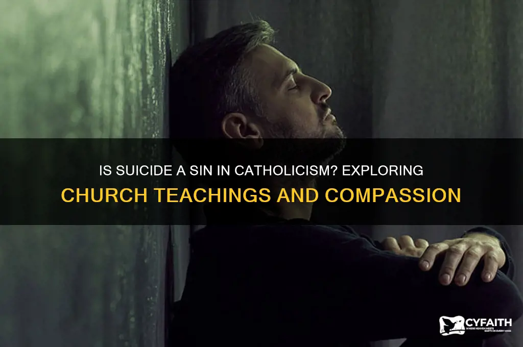 why suicide sin catholic