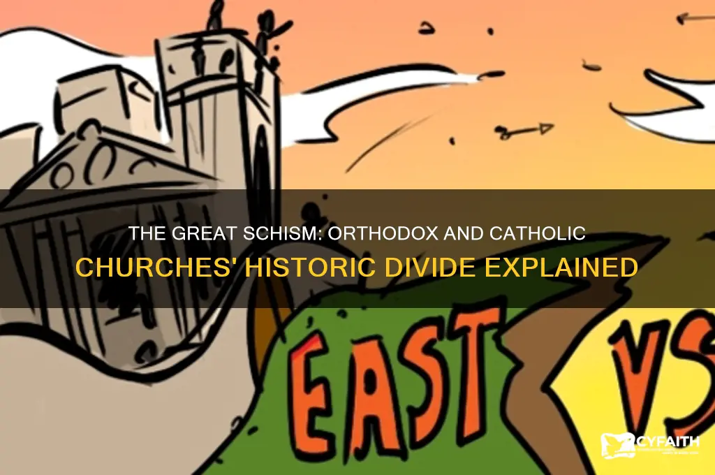 why the orthodox church broke away from the catholic church
