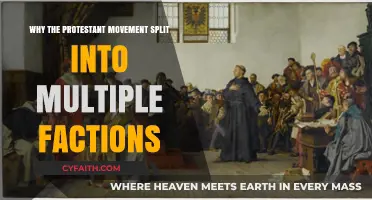 The Fracturing of Faith: Understanding the Protestant Movement's Divisions