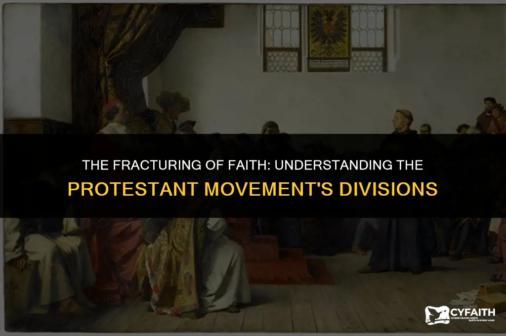 why the protestant movement split into multiple factions