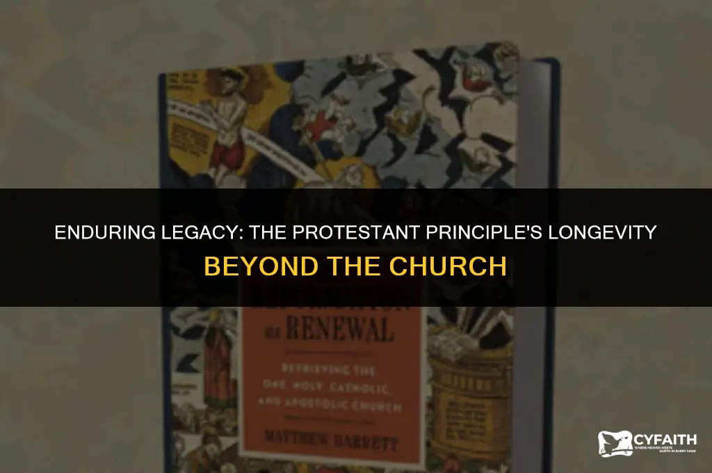 why the protestant principle might outlast the protestant church