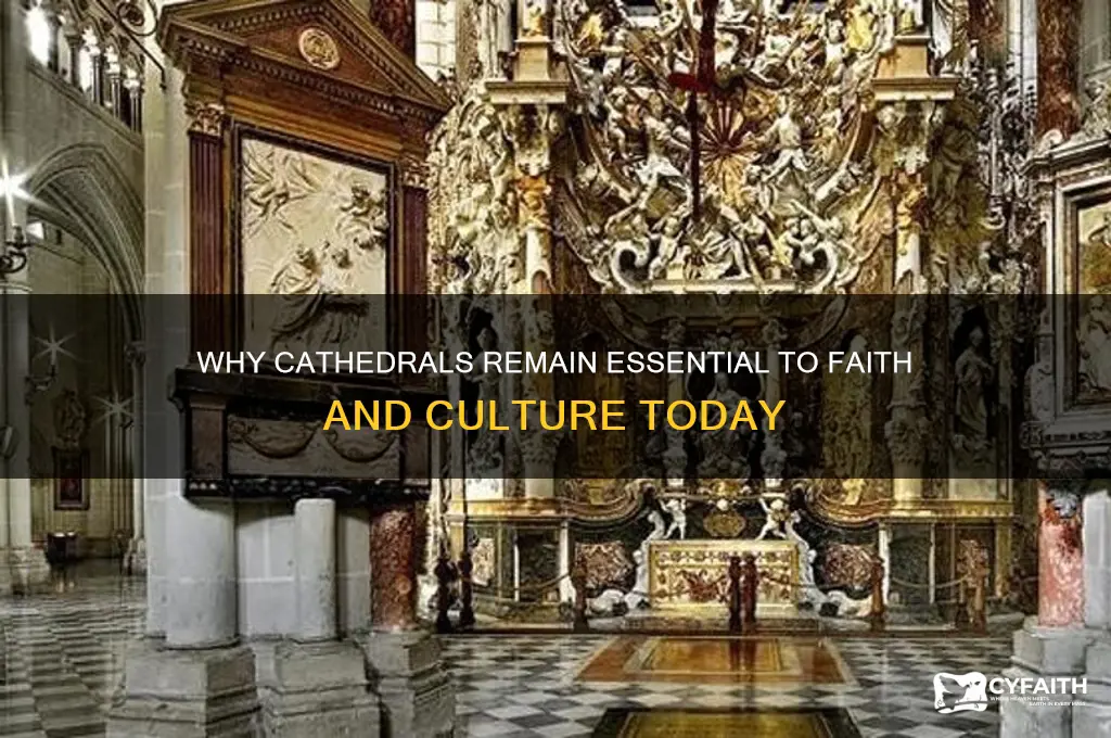 why the world needs cathedrals national catholic register