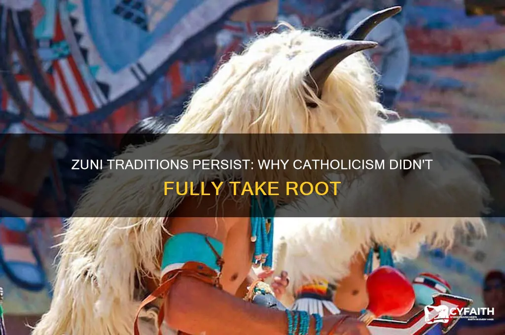 why the zuni aren