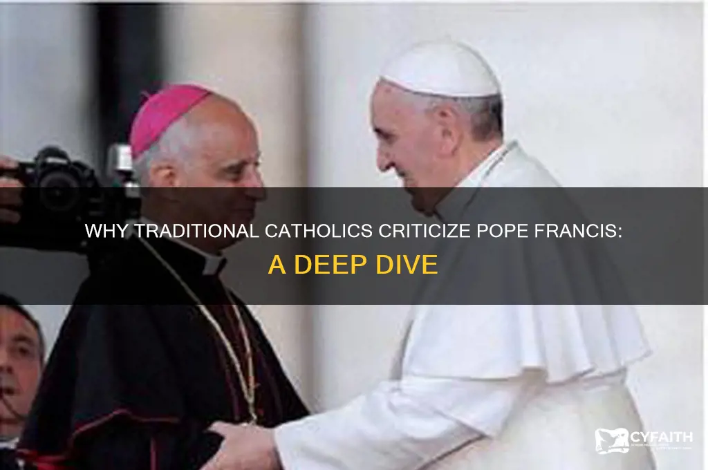 why traditional catholics hate pope francis