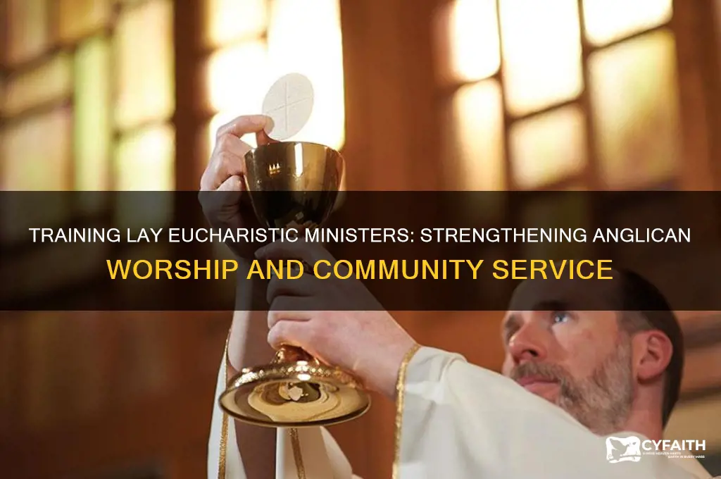 why training for lay eucharistic ministers anglican church