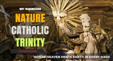 Understanding the Catholic Trinity's Transmission and Divine Nature