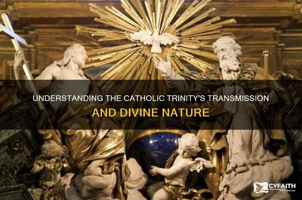 why transmission nature catholic trinity