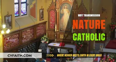 Understanding the Catholic Church's Transmission of Faith and Tradition