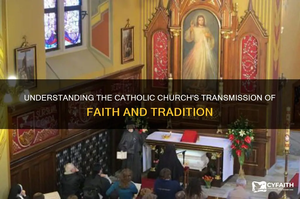 why transmission nature catholic