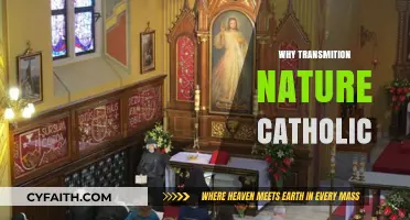 Exploring the Catholic Church's Transmission of Faith and Tradition