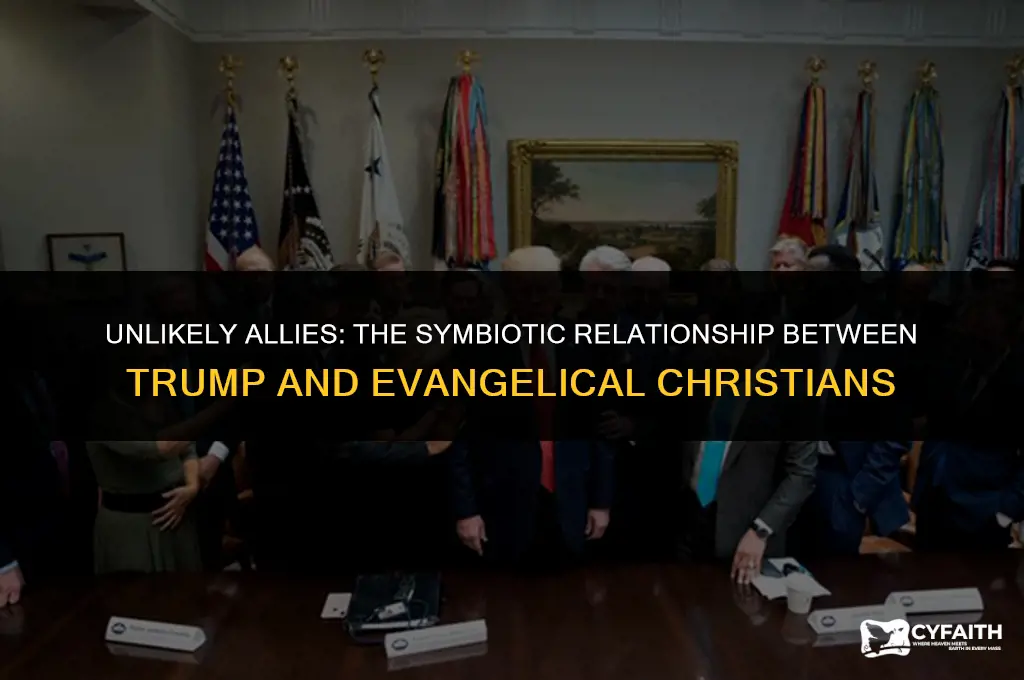 why trump and evangelical christians are peas in a pod
