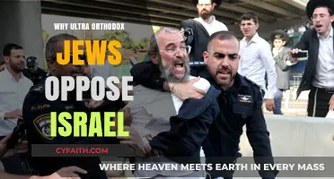 Ultra-Orthodox Jewish Opposition to Israel: Religious and Political Perspectives