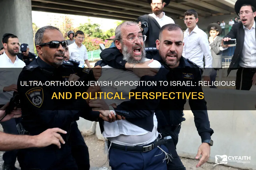 why ultra orthodox jews oppose israel