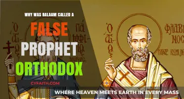 Balaam's Prophecy: Unraveling the Orthodox View of a False Prophet