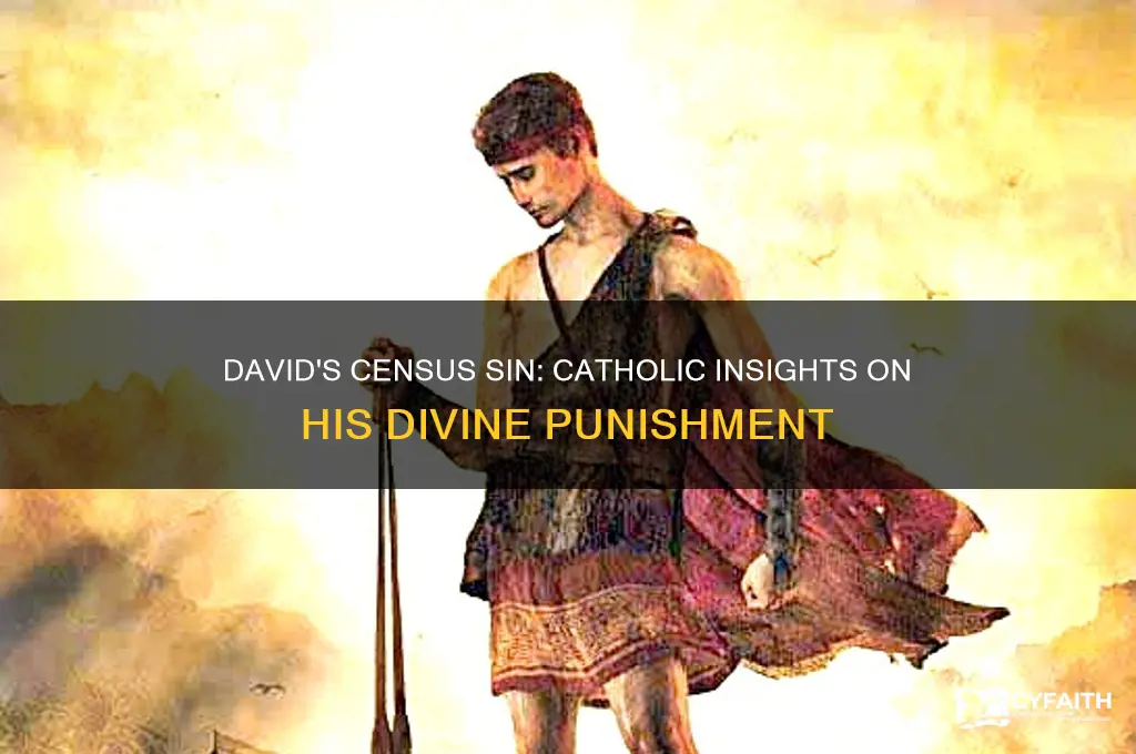 why was david punished for taking a census catholic