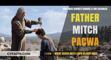 David's Census Sin Explained by Catholic Father Mitch Pacwa