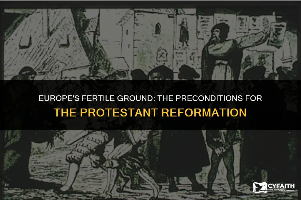 why was europe ready for the protestant reformation