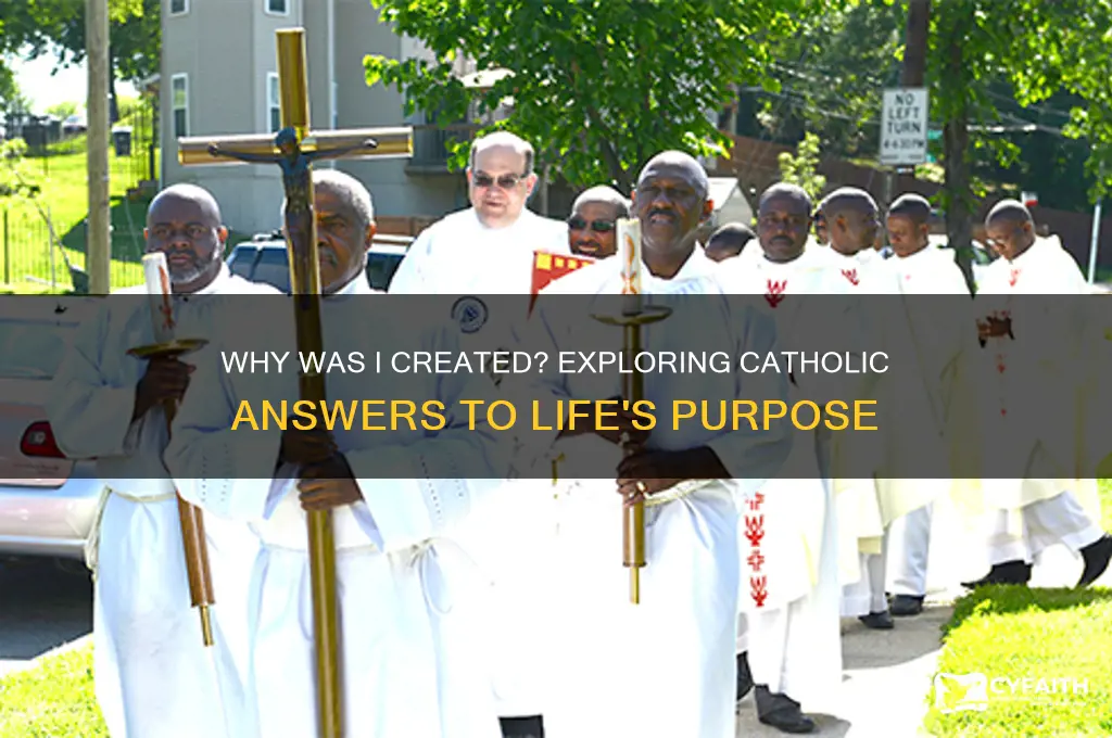 why was i created catholic answers