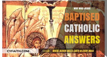 Why Was Jesus Baptized? Exploring Catholic Answers and Insights