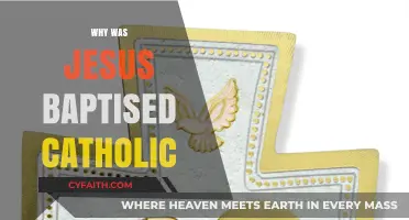 Why Was Jesus Baptized? Exploring Catholic Tradition and Significance