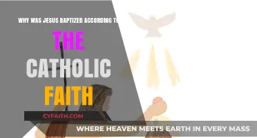 Why Jesus' Baptism Matters in Catholic Tradition and Belief