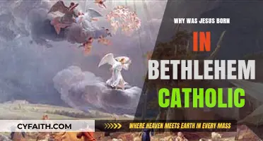 Why Bethlehem? Unraveling Jesus' Birthplace in Catholic Tradition
