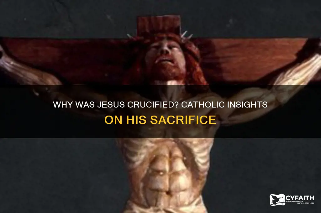 why was jesus crucified catholic