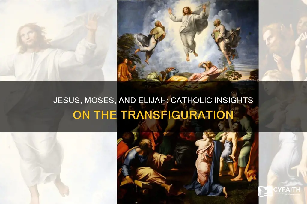 why was jesus talking with moses and elijah catholic