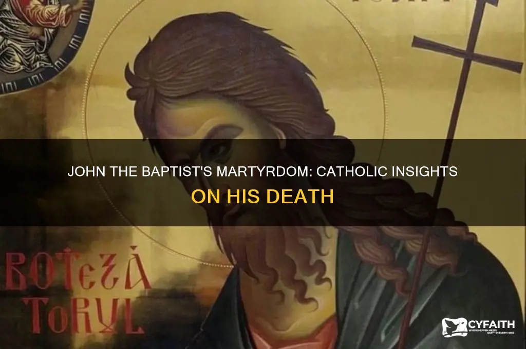 why was john the baptist killed catholic