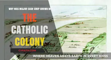 Catholic Colonies' Cash Crops: Religious Influence on Agricultural Choices