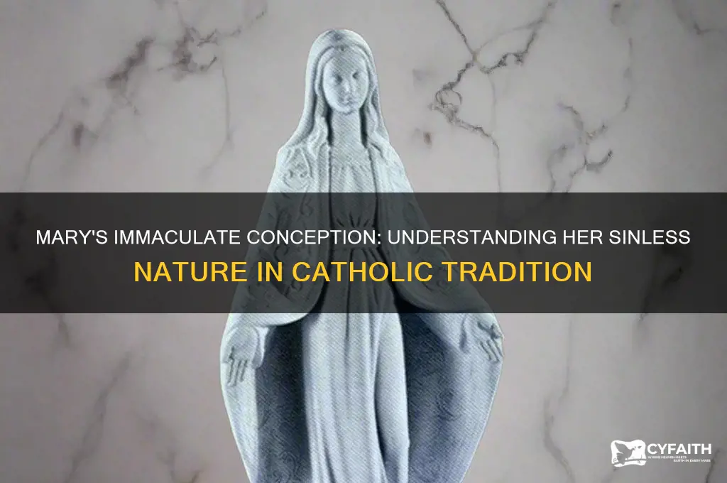 why was mary sinless catholic answers