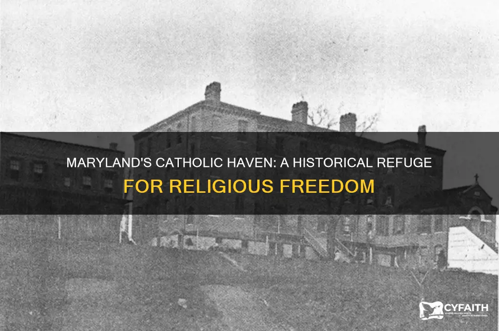 why was maryland made a catholic refuge