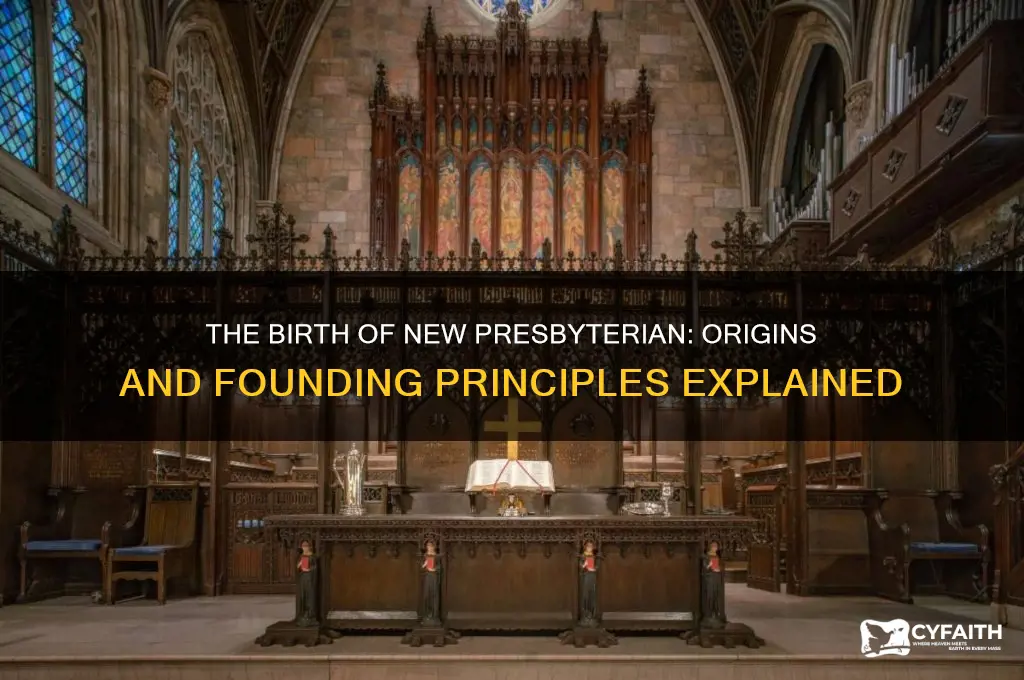 why was new presbyterian was found