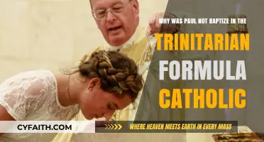 Paul's Baptism: Why Not the Trinitarian Formula in Catholicism?