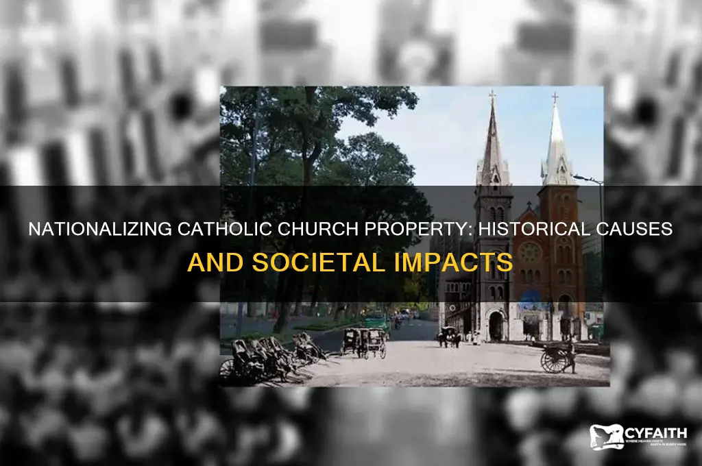 why was property of the catholic chruch nationalized