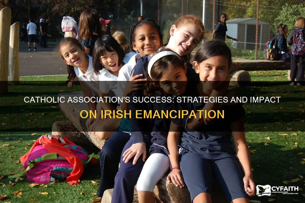 why was the catholic association more successful