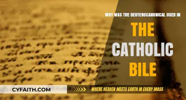 Why the Catholic Bible Includes Deuterocanonical Books: Historical Insights