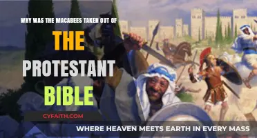 The Maccabees' Removal: A Historical and Theological Perspective