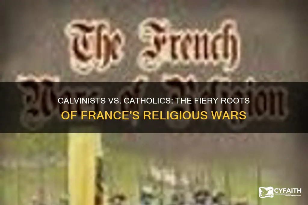 why was there war between calvinists and catholics in france