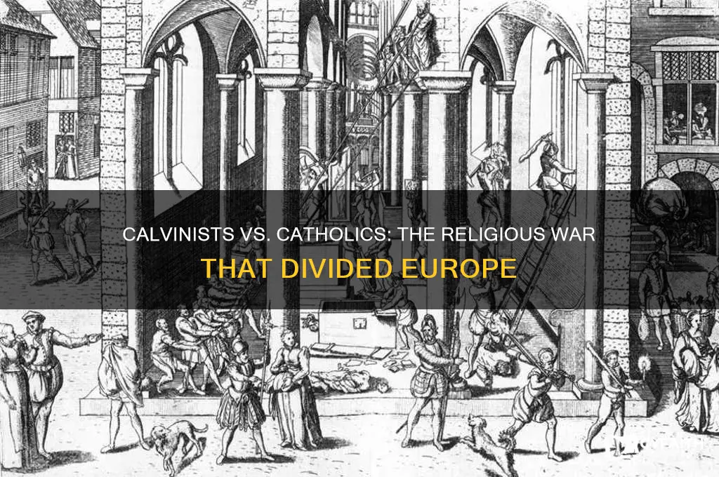 why was there war between calvinists and catholics