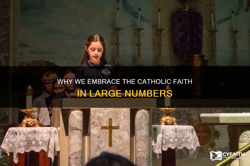 why we are catholic bulk