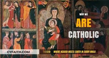 Why We Are Catholic: Faith, Tradition, and Our Enduring Journey