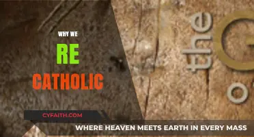 Why We're Catholic: Faith, Tradition, and Timeless Truths Explained