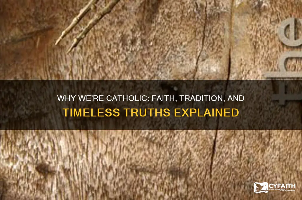 why we re catholic