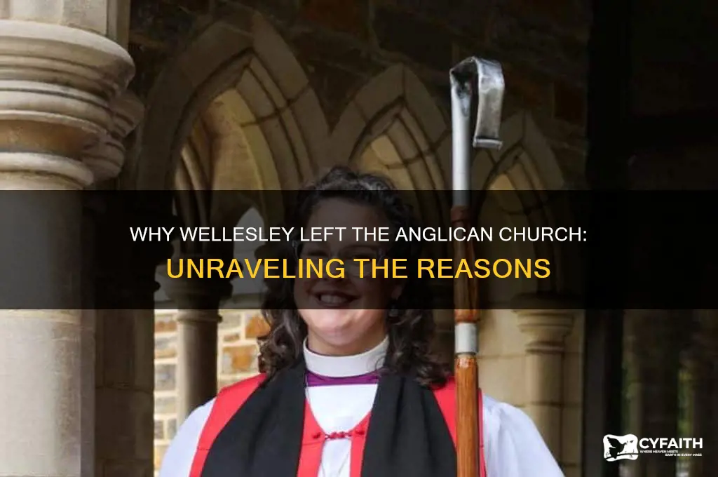 why welsley left anglican church