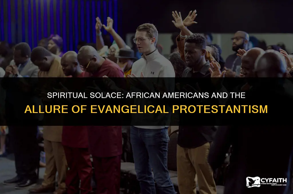 why were african americans attracted to evangelical protestantism