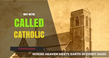 Why We're Called Catholic: Exploring the Rich History and Meaning