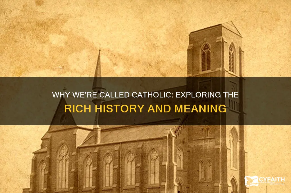 why we