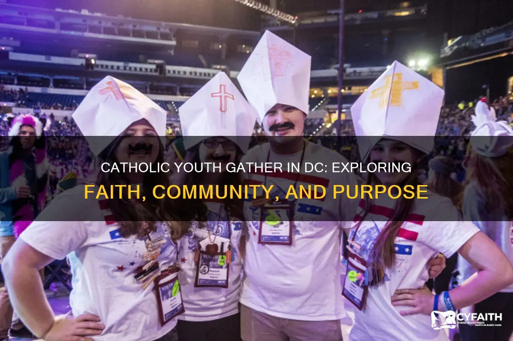 why were catholic kids in dc