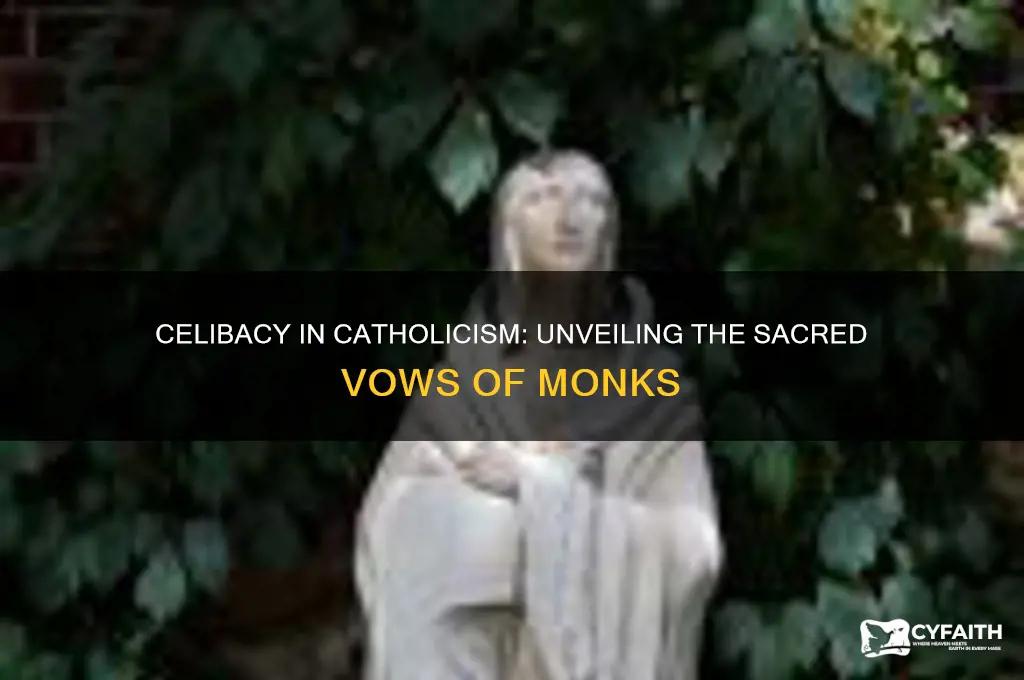why were catholic monks celibate
